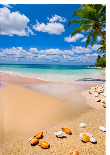 beach landscape,caribbean beach,tropical beach,beautiful beaches,dream beach,beautiful beach,beach scenery,brazilian beach,caribbean sea,cuba beach,coconuts on the beach,caribbean,white sandy beach,paradise beach,tropical sea,the caribbean,mauritius,beach background,sandy beach,white sand beach,Art,Artistic Painting,Artistic Painting 35