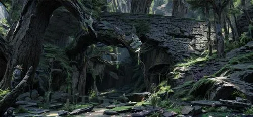 endor,elven forest,swampy landscape,kashyyyk,dagobah,forest,the forest,mirkwood,yavin,forests,fangorn,forest moss,forest glade,forest floor,haunted forest,swamps,swamp,house in the forest,cartoon forest,cypresses