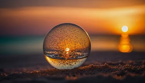 crystal ball-photography,light bulb,illuminated lantern,glass sphere,the light bulb,lensball,incandescent,pilgrim shell,incandescent lamp,sun reflection,light reflections,salt lamp,glass ball,incandescence,incandescents,glow of light,light cone,crystal ball,oriental lantern,bulb,Photography,General,Fantasy