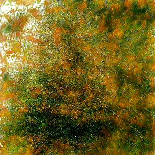 beech hedge,tree texture,brakhage,shrub,watercolour texture,trichophyton,pyracantha,euonymus,maple foliage,the foliage,palimpsest,arborvitae,decorative bush,color image,autumn foliage,toxicodendron,green tree phyton,vegetation,orange tree,rowan tree,Illustration,American Style,American Style 10