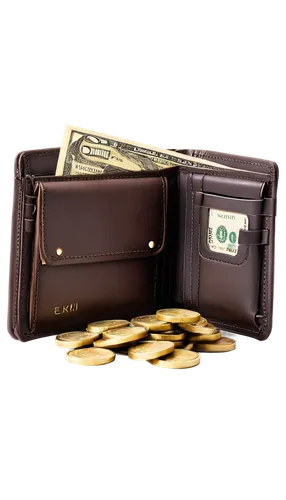 wallet,wallets,garnishment,financial concept,money transfer,moneywatch,gold bullion,moneychanger,savings box,electronic payments,electronic money,moneycentral,pocketbooks,expenses management,creditsights,financial education,earn money,noteholders,microloans,pocketbook,Illustration,Realistic Fantasy,Realistic Fantasy 06