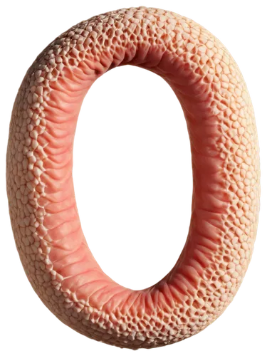 eosinophil,blastocyst,ovule,ancylostoma,eukaryote,embryogenesis,oocyte,liposomes,prokaryote,ciliary,microvesicles,vesicles,embryo,stoma,microvilli,blastula,epididymis,schistosomes,arenavirus,diverticula,Conceptual Art,Fantasy,Fantasy 29