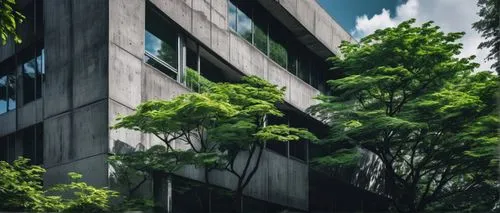 glass facade,taikoo,yuchengco,office buildings,sathorn,office building,aoyama,glass facades,glass building,greenery,urban landscape,interlace,green plants,verticality,green living,atriums,green trees,planta,ctbuh,tree canopy,Conceptual Art,Oil color,Oil Color 01