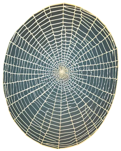 spiderweb,spider web,spider network,toroidal,spider's web,stereographic,anisotropic,spider net,polytope,spectrum spirograph,spirography,spider silk,cardioid,dodecagonal,circumradius,spirograph,isotropic,revolving light,superlattice,subgraph,Illustration,Abstract Fantasy,Abstract Fantasy 06