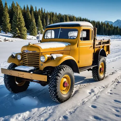 ford truck,snow plow,willys jeep mb,snowplow,willys jeep,vintage vehicle,Photography,General,Realistic