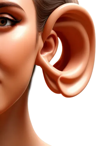 auricle,hearing,ear,ear cancers,earling,audiologist,audiologists,cochlear,binaural,cochlea,earsplitting,eardrum,earlobes,audiology,earaches,auricular,earmarking,earshot,earwax,audiological,Photography,Fashion Photography,Fashion Photography 11