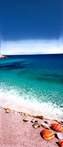 ningaloo,formentera,sardegna,rottnest island,sardinia,beach landscape,chalkidiki,rottnest,arniston,beautiful beach,white sandy beach,dream beach,beautiful beaches,busselton,beach scenery,ionian sea,baja california sur,djerba,white sand beach,cottesloe,Illustration,Abstract Fantasy,Abstract Fantasy 04