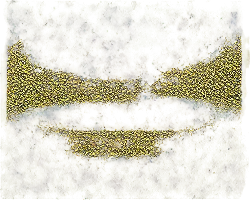 veil yellow green,pollen warehousing,puccinia,trumpet lichen,yellow wallpaper,bladderwort,dermatophytes,xanthomonas,qin leaf coral,sporangium,pollen,chaetophoraceae,disc fungus,stored sunflower,sporophyte,microsporum,lemon pattern,brown mold,liverworts,trichophyton,Illustration,Vector,Vector 06