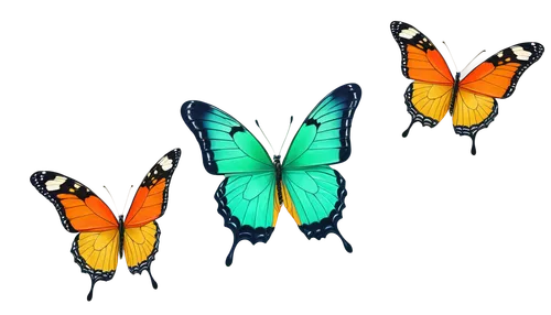 Butterflies, multiple, colorful wings, delicate legs, antennae, green screen background, soft focus, shallow depth of field, warm lighting, 3/4 composition, close-up shot, realistic texture, vibrant c