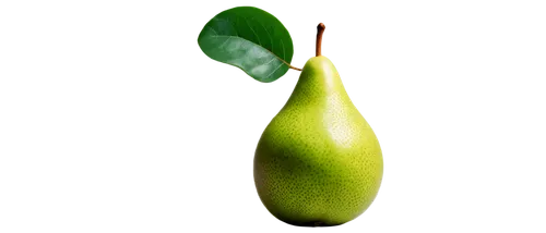 asian pear,pear cognition,pear,rock pear,pears,feijoa,sapodilla,avacado,common guava,starfruit,kelapa,scaphosepalum,peperoncini,avo,oleaceae,fig,pepino,green kiwi,avocado,guava,Illustration,Vector,Vector 15