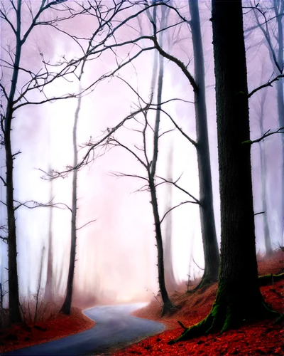 foggy forest,foggy landscape,autumn fog,germany forest,forest road,forest path,autumn forest,forest landscape,beech trees,nebel,beech forest,foggy day,haunted forest,deciduous forest,forest of dreams,taunus,morning mist,mists,forest walk,foggy mountain,Illustration,Realistic Fantasy,Realistic Fantasy 36