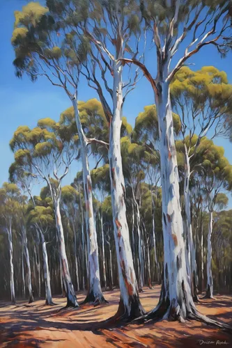 NORTON SUMMIT GUM TREES, Oil Painting by maureen finck Artist,gum trees,deadvlei,pine forest,palma trees,eucalyptus,tree grove,south australia,golden trumpet trees,trees with stitching,row of trees,pi