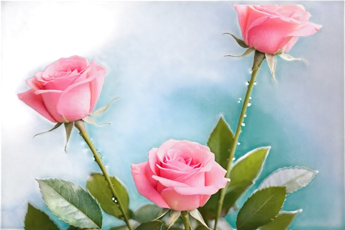 pink roses,pink rose,rosas,rose roses,flower background,rosses,noble roses,mini roses pink,romantic rose,flowers png,rose png,spray roses,yellow rose background,rose buds,pink flowers,flower rose,rose pink colors,sugar roses,rosewall,blooming roses,Unique,Paper Cuts,Paper Cuts 07