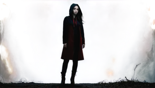 Dark themed picture, mysterious atmosphere, solo figure, silhouette, black hair, pale skin, red eyes, long coat, hoodie up, standing in darkness, fog surrounding legs, misty ambiance, low-key lighting