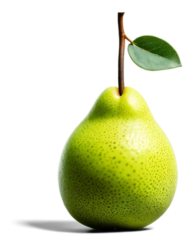 green apple,pear,pear cognition,golden apple,green apples,apfel,ripe apple,bell apple,aaaa,worm apple,epple,manzana,golden delicious,apple core,jew apple,pears,piece of apple,holsapple,dapple,banana apple,Illustration,Vector,Vector 09