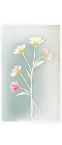 flower painting,cosmea,zephyranthes,pink cosmea,cardamine,epilobium,flowers frame,cosmos flower,spring onion,flower drawing,oenothera,pelargonium,water lily plate,linanthus,flower frame,flowers png,stamen,purslane,cartoon flower,tuberose,Art,Classical Oil Painting,Classical Oil Painting 08