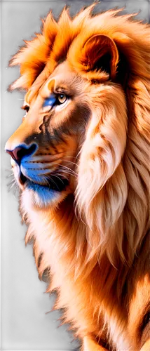 tiger png,lion,skeezy lion,lion white,lion - feline,male lion,forest king lion,to roar,african lion,roar,liger,lion number,panthera leo,royal tiger,roaring,lion head,tiger head,masai lion,scar,lion father,Conceptual Art,Sci-Fi,Sci-Fi 30