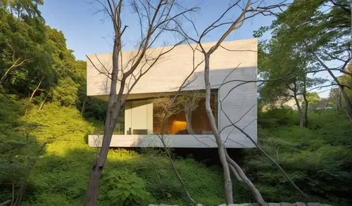 glucksman,seidler,breuer,fallingwater,cube house,forest house,cantilevered,mid century house,dunes house,cubic house,cantilevers,neutra,house in the forest,amagansett,corbu,treehouses,bunshaft,ruhl house,tree house,gulbenkian,Photography,General,Realistic