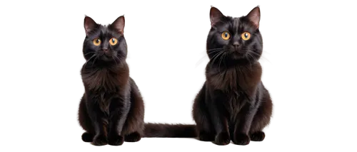 abyssinians,ravenpaw,shadowclan,derivable,georgatos,sphinxes,gatos,catterns,familiars,genets,pet black,watchers,reticuli,catulus,two cats,siamese,riverclan,nightstalkers,cat vector,tomcats,Illustration,Retro,Retro 23