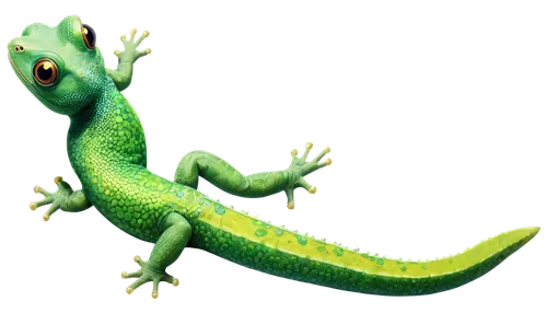 emerald lizard,green lizard,basiliscus,patrol,gex,agamid,lagarto,day gecko,basilisks,chameleonlike,phelsuma,green crested lizard,gecko,pasquel,maguana,gekko,chamaeleon,aaaa,greenie,eastern water dragon,Conceptual Art,Oil color,Oil Color 05