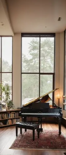 grand piano,fortepiano,steinway,boesendorfer,the piano,bosendorfer,piano books,harpsichord,music conservatory,guqin,steinways,play piano,harpsichordist,piano,harpsichords,pianoforte,concerto for piano,pianos,playing room,pianism,Photography,Documentary Photography,Documentary Photography 13