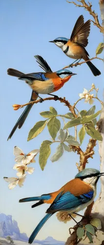 european swallow,birds on a branch,passenger pigeon,birds on branch,swallows,birds in flight,rufous,key birds,sterna hirundo,swallow,migratory birds,alcedo atthis,birds flying,hummingbirds,flying birds,bird migration,bird flight,bird painting,piciformes,terns,Art,Classical Oil Painting,Classical Oil Painting 40