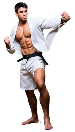 Muscular man, judo athlete, sweaty skin, intense gaze, messy black hair, strong jawline, athletic build, white judo uniform, tied belt, muscular arms, clenched fists, powerful legs, dynamic pose, low-