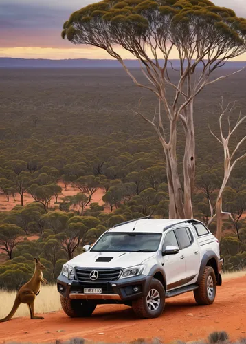 Write a suspenseful story about a secret kangaroo mob meeting in the middle of the Australian Outback.,nissan x-trail,mitsubishi triton,mazda bt-50,nissan qashqai,nissan rogue,volkswagen tiguan,dacia 