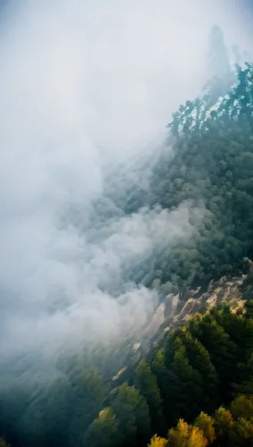 foggy mountain,wave of fog,foggy landscape,sea of fog,autumn fog,sea of clouds,Photography,Documentary Photography,Documentary Photography 02