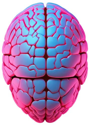 brain icon,cerebrum,human brain,brain structure,brain,brainy,cognitive psychology,neural network,neurath,acetylcholine,magnetic resonance imaging,neurology,bicycle helmet,neural,isolated product image,self hypnosis,mind-body,emotional intelligence,neurotransmitter,football helmet,Art,Classical Oil Painting,Classical Oil Painting 41