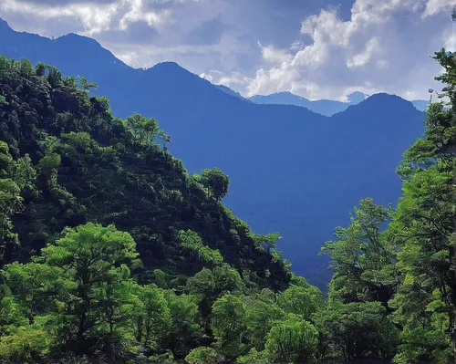 conguillío national park,tropical and subtropical coniferous forests,verzasca valley,mountainous landscape,background view nature,everest region,chiapas,artvin,badakhshan national park,the landscape of the mountains,mount wilson,valdivian temperate rain forest,cabaneros national park,province of cauca,bucegi mountains,mountain ranges from rio grande do sul,the chubu sangaku national park,view of the mountains,the gastern valley,suusamyrtoo mountain range,Conceptual Art,Sci-Fi,Sci-Fi 14