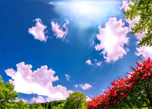 bougainvilleans,virtual landscape,summer sky,sky,cloud image,bougainvillea,bougainvilleas,bougainville,blooming field,blue sky clouds,bloomeries,photosphere,skyscape,springtime background,sky clouds,snapdragon,stereoscopic,hyperstimulation,flower field,blue sky and clouds,Photography,Fashion Photography,Fashion Photography 04