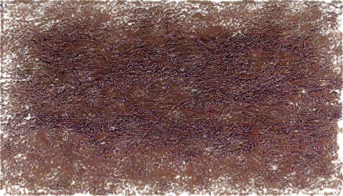 seamless texture,generated,degenerative,generative,stereogram,sackcloth textured background,sackcloth textured,kngwarreye,felt burdock,tree texture,coir,percolated,stereograms,sphagnum,wavelet,texture,pointillist,carpet,background texture,epidermis,Unique,Design,Infographics