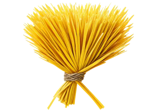 borgetti,enoki,spagnuolo,barilla,spaghetti,ragetti,fettuccine,italian pasta,pasta,capellini,spaguetti,broken pasta,linguini,cinema 4d,pasta maker,fettucine,spaghettini,fusilli,whisk,taglioni,Illustration,Realistic Fantasy,Realistic Fantasy 22