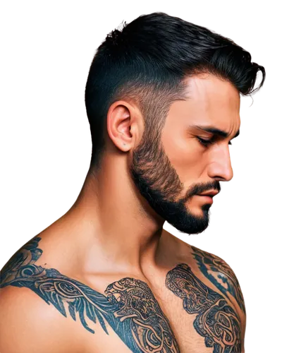 mohawk hairstyle,male model,pompadour,beard,shoulder length,tattoos,profile,bearded,semi-profile,asymmetric cut,with tattoo,half profile,barber,management of hair loss,follicle,tattooed,mohawk,handlebar,smooth hair,pomade,Art,Classical Oil Painting,Classical Oil Painting 38