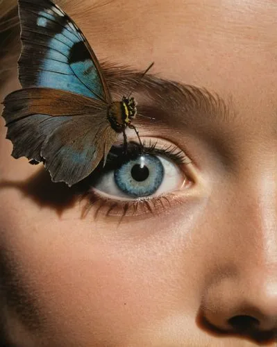 girl with giant butterfly on eyes and butterfly frame,eye butterfly,morpho butterfly,ulysses butterfly,morpho,morpho peleides,blue morpho butterfly,blue morpho,eyed-hawk-moth,eyed hawk-moth,owl butter