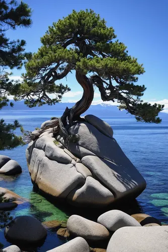 Waiting For The Perfect Shot Bonsai Rock Emerald Bay Lake Tahoe Thoughts From Paul Reiffer further 20144830524 further Lake Tahoe additionally Lake Tahoe furthermore Bonsai Rock At Lake Tahoe 32556057