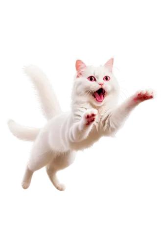 turkish van,funny cat,cat vector,white cat,leap for joy,cat image,japanese bobtail,turkish angora,leaping,pet vitamins & supplements,cute cat,cats angora,cat,computer mouse cursor,cats playing,meowing,cartoon cat,leap,polydactyl cat,hanging cat,Illustration,Black and White,Black and White 29