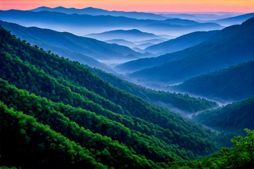 Misty Appalachian Mountains, solo, sunrise, rugged terrain, green forest, foggy atmosphere, majestic peaks, scenic overlook, rocky cliffs, winding mountain roads, morning dew, soft golden light, panor