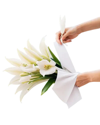 Sympathy flowers, white lilies, gentle petals, delicate stems, subtle water droplets, soft focus, warm lighting, 3/4 composition, shallow depth of field, calming atmosphere, solo, peaceful, condolence