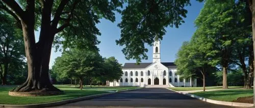 Falls Church Rd, modern architectural design, general church building, grand entrance, symmetrical facade, white stone walls, stained glass windows, tall bell tower, intricate carvings, ornate decorat