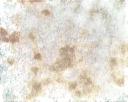 oxidation,patina,terrazzo,brown mold,watercolour texture,oxidize,color texture,biofouling,peroxidation,patinated,watercolor texture,paving stone,chameleon abstract,abstract gold embossed,colorful foil background,enantiopure,rusty door,digiscrap,textured background,abstract background,Photography,Fashion Photography,Fashion Photography 18