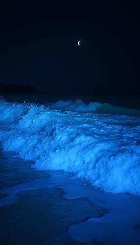 bioluminescent,bioluminescence,sea night,dark beach,sea foam,blue water