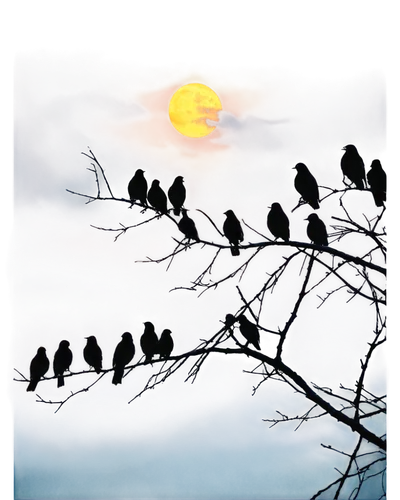 moonlit night,moonlighted,birds on branch,moon and foliage,birds on a branch,purple moon,nightfall,moonlit,predawn,nocturnal bird,twilight,dreamscapes,crescent moon,moonglow,moonrise,hanging moon,full moon,moon and star background,moonshadow,moon photography,Conceptual Art,Fantasy,Fantasy 12