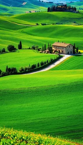 tuscany,tuscan,italia,italy,green landscape,beautiful landscape,campagna,home landscape,vineyards,landscapes beautiful,green fields,farm landscape,landscape nature,rural landscape,countryside,nature landscape,rolling hills,vegetables landscape,natural landscape,farmland,Photography,General,Realistic