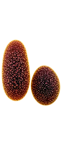 spheroids,spherules,stemcells,arenavirus,ellipsoids,vesicles,blastocyst,stemcell,leukocytes,rivularis,microvesicles,adipocytes,polyomavirus,microspheres,embryos,meningococcus,vesicular,adipocyte,ovules,ovule,Illustration,Abstract Fantasy,Abstract Fantasy 19