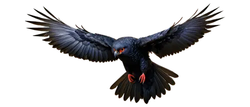 black stork,black-billed stork,3d crow,alpine chough,black macaws sari,crows bird,saddle-billed stork,ivory-billed woodpecker,bird png,corvus corax,corvus,eagle illustration,crow-like bird,corvus corone,pyrrhocorax graculus,black raven,raven rook,calyptorhynchus banksii,turkey vulture,corvidae,Art,Classical Oil Painting,Classical Oil Painting 16