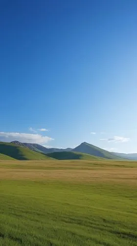 草原，天空无云,castelluccio,windows wallpaper,palouse,the mongolian-russian border mountains,the mongolian and russian border mountains,semipalatinsk,nature of mongolia,inner mongolian beauty,mongolia,landsc