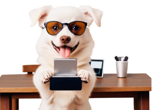 blur office background,dog photography,mobile banking,mascotech,dog frame,travelzoo,cheerful dog,zorfi,lumia,video conference,receptionist,telemedicine,blogger icon,blogger,assistant,best digital ad agency,gadget,video call,video chat,dog cartoon,Conceptual Art,Daily,Daily 22