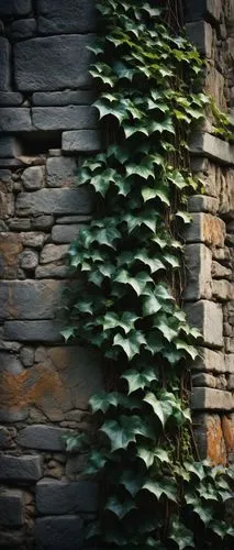 background ivy,wall,wall texture,stone wall,old wall,sandstone wall,intensely green hornbeam wallpaper,brick wall background,stone background,green wallpaper,ivy,ivy frame,stone fence,wall stone,limestone wall,house wall,background with stones,brick background,cry stone walls,rock walls,Unique,3D,Modern Sculpture